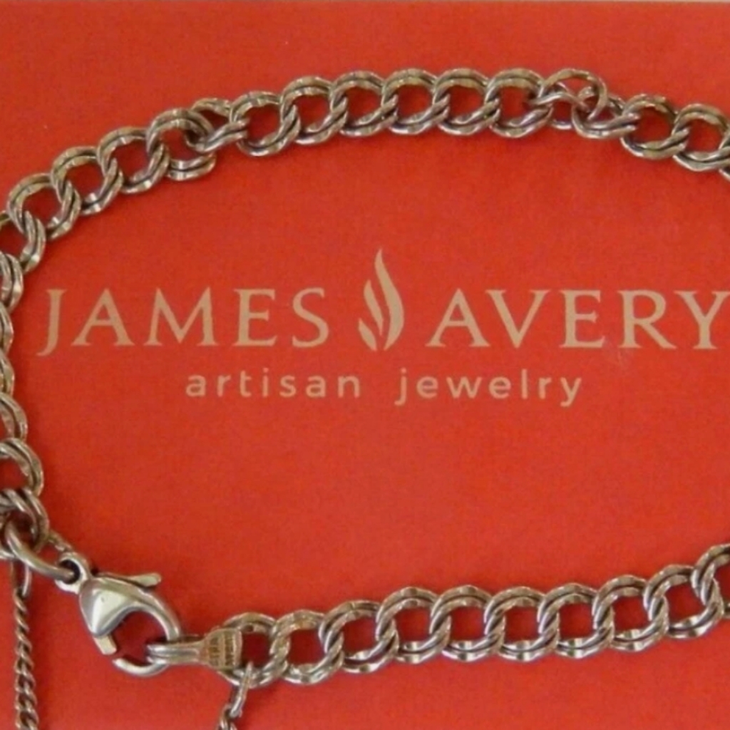 James Avery Light Double Curb Charm Bracelet (Charms Not Included).